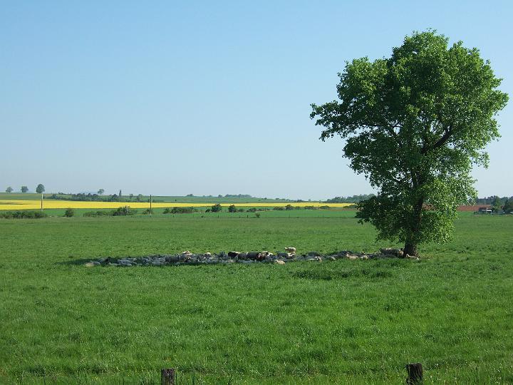 2008-05- (082).JPG - Schattige Plätzchen sind rar